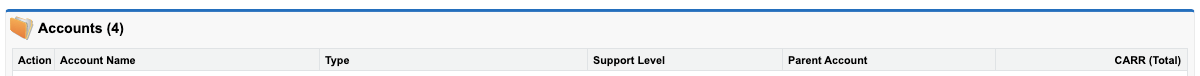 Account Name and Support Level in Salesforce search results