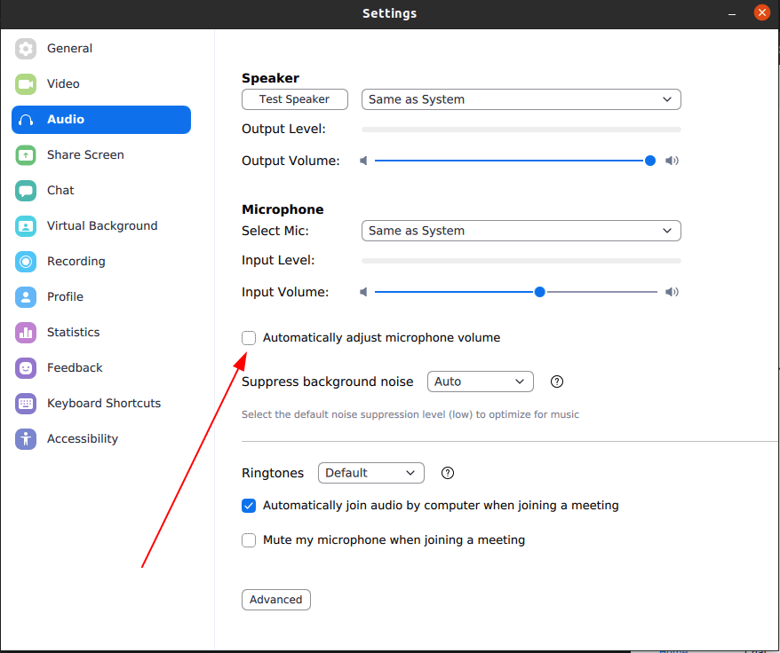 Zoom mic settings